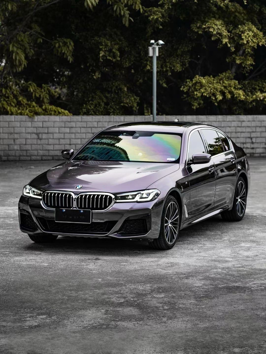 Ravoony Plus PET Gloss Metallic Eve Purple Car Vinyl Wrap review 0