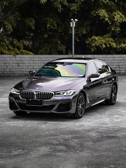 Ravoony Plus PET Gloss Metallic Eve Purple Car Vinyl Wrap review 