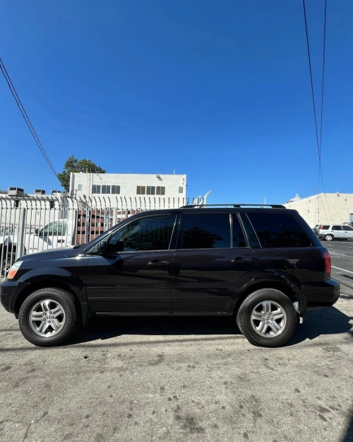 Ravoony Plus Glossy Metallic Spar Black Blue Vinyl Wrap review 