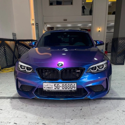 Ravoony Plus PET Purple And Red Chameleon Car Wrap review 