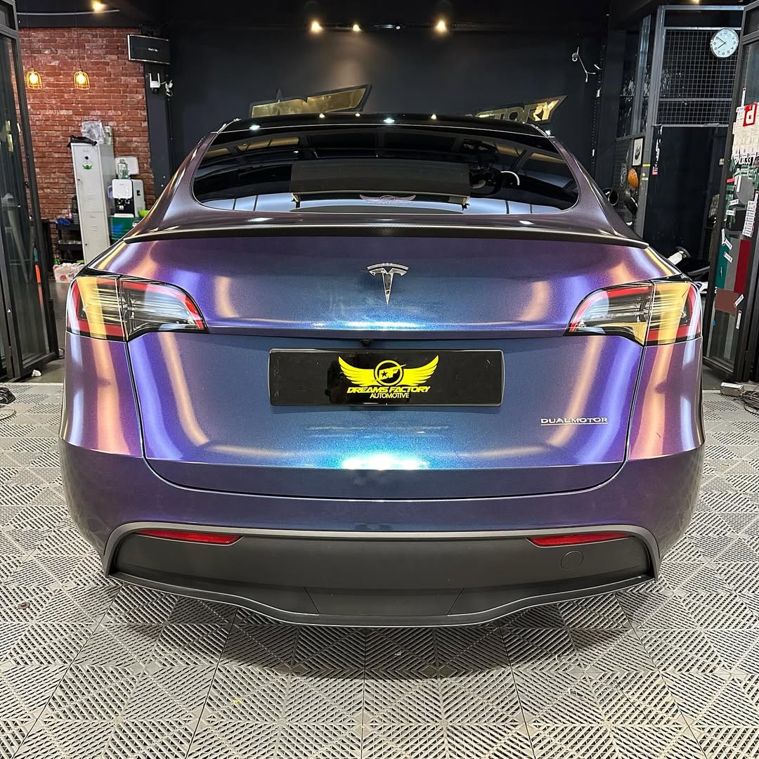 Ravoony Plus PET Purple And Red Chameleon Car Wrap review rosie xie 00