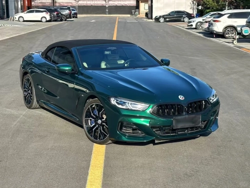 Ravoony Pro TPU Glossy Royal Green PPF Film review 