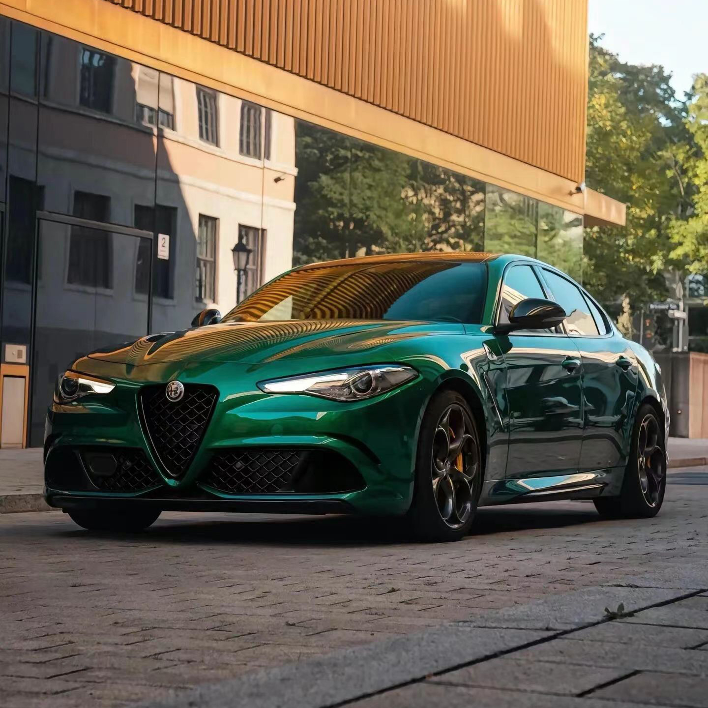 Ravoony Pro TPU Glossy Royal Green PPF Film review 0