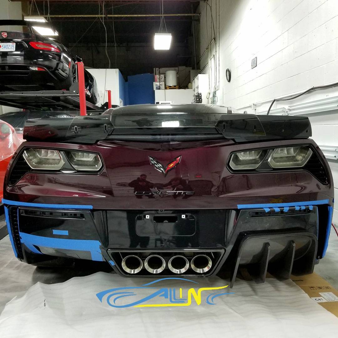 Ravoony Pro TPU Gloss Black Rose PPF Film review All In De 01