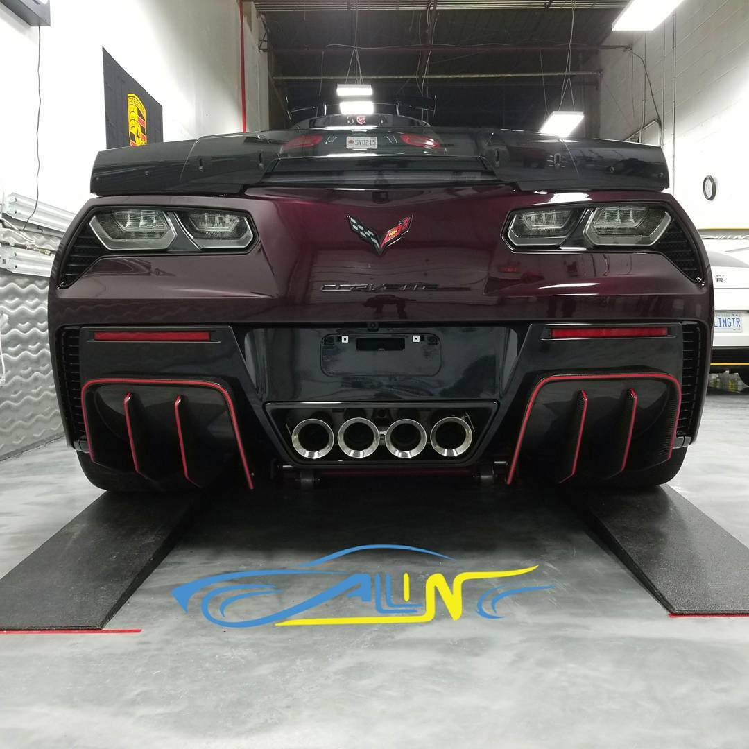 Ravoony Pro TPU Gloss Black Rose PPF Film review All In De 03