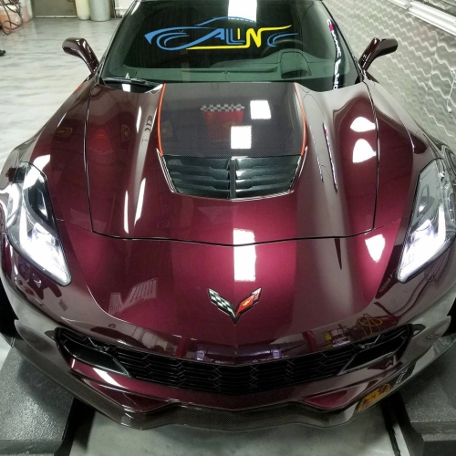 Ravoony Pro TPU Gloss Black Rose PPF Film review 