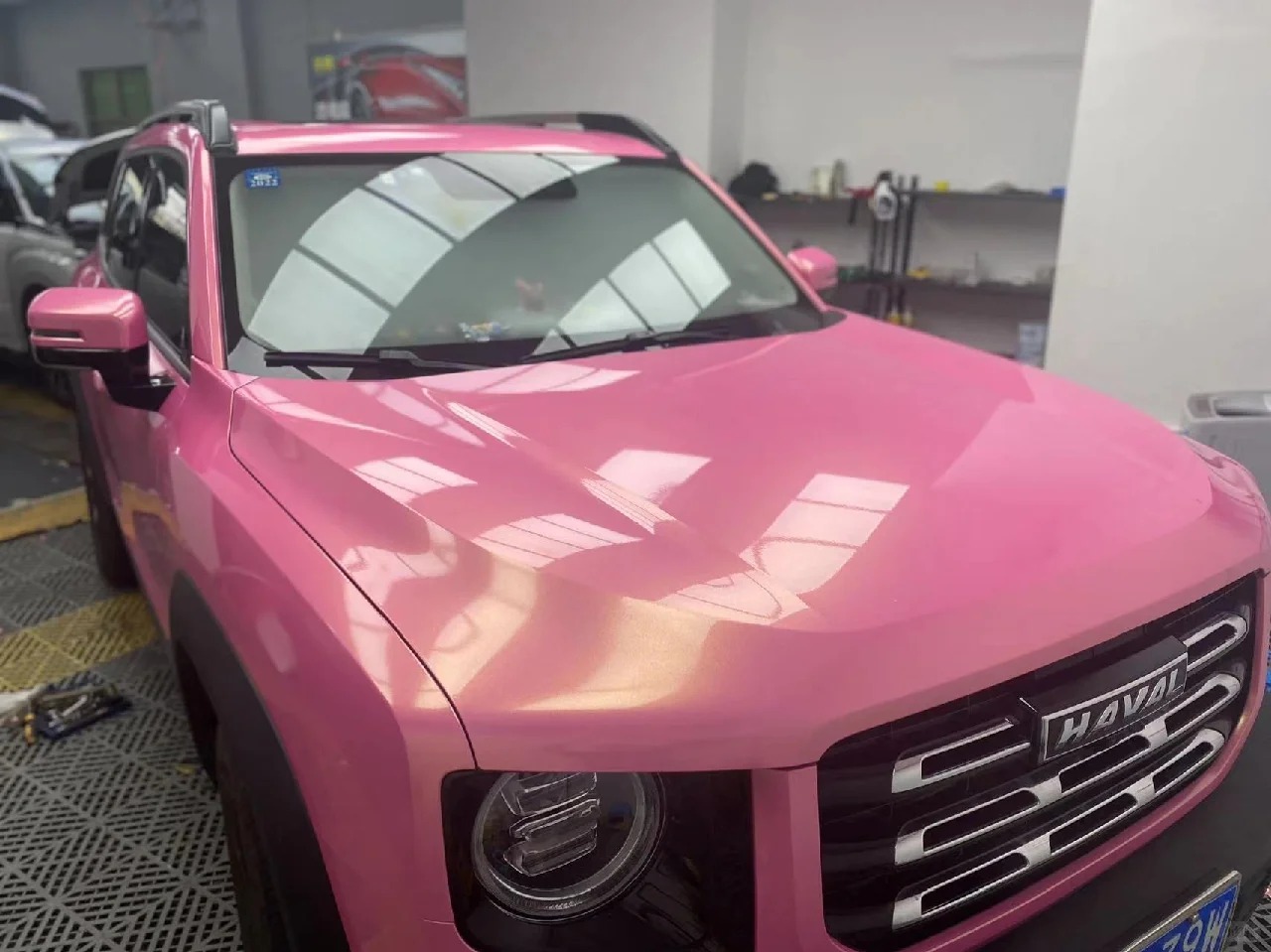 Ravoony Plus Gloss Diamond Gold Pink Vinyl Wrap review rosiexie 02
