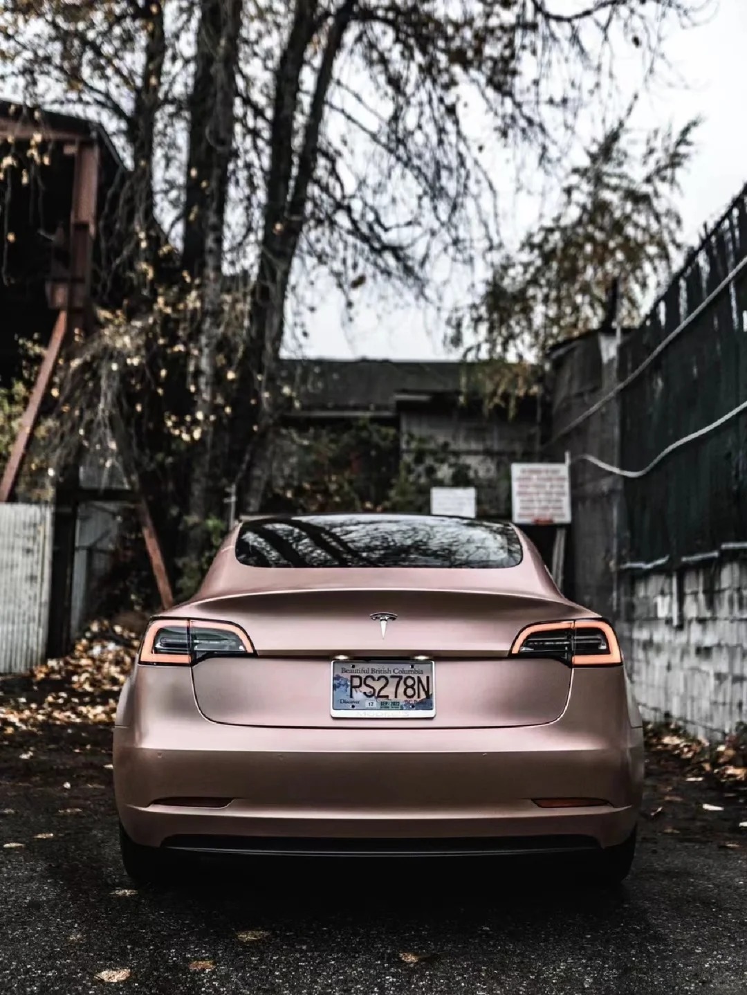 Ravoony Plus Pure Metallic Rose Gold Car Vinyl Wrap review Ezekiel Barnes 01