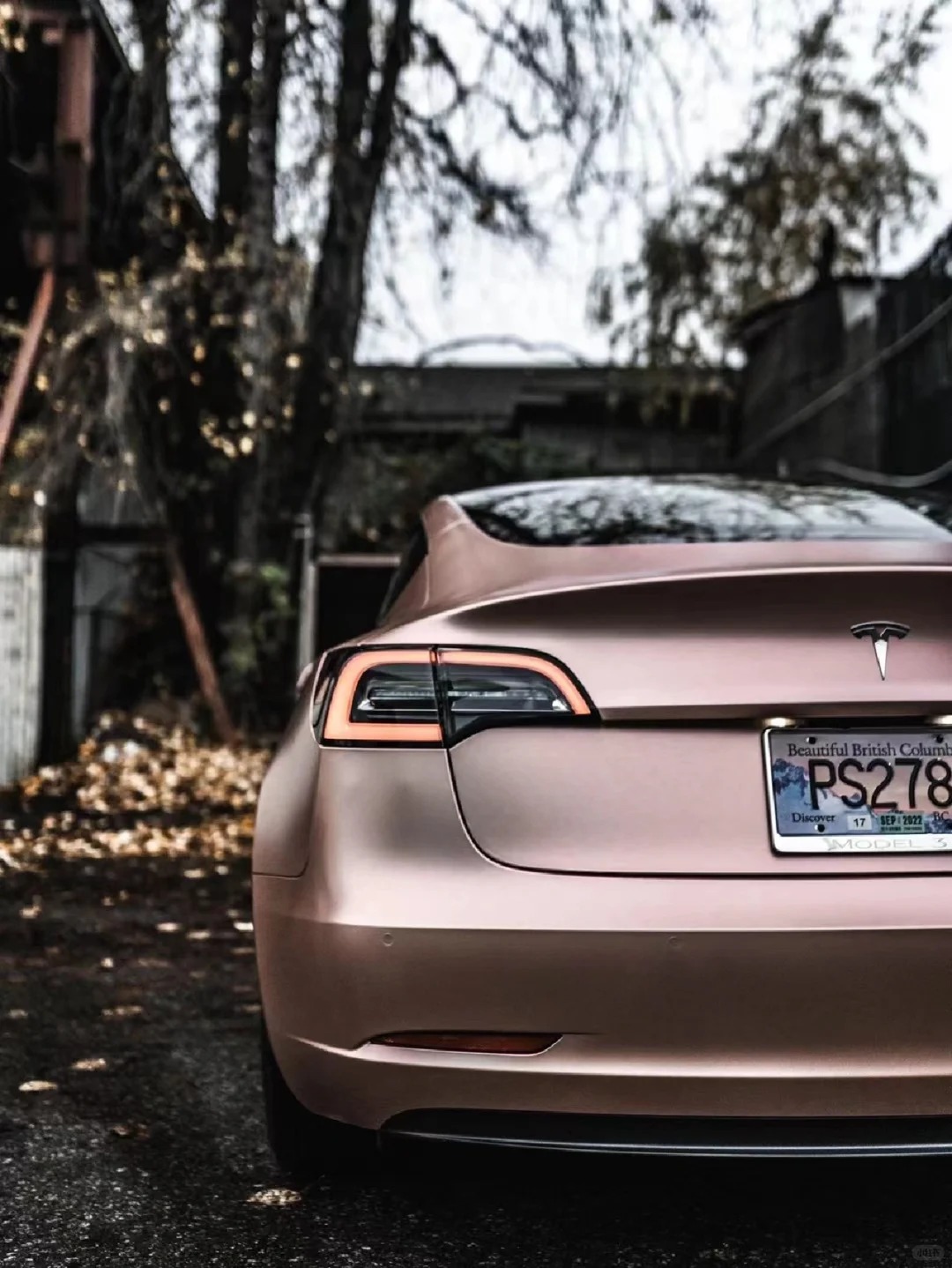 Ravoony Plus Pure Metallic Rose Gold Car Vinyl Wrap review Ezekiel Barnes 03