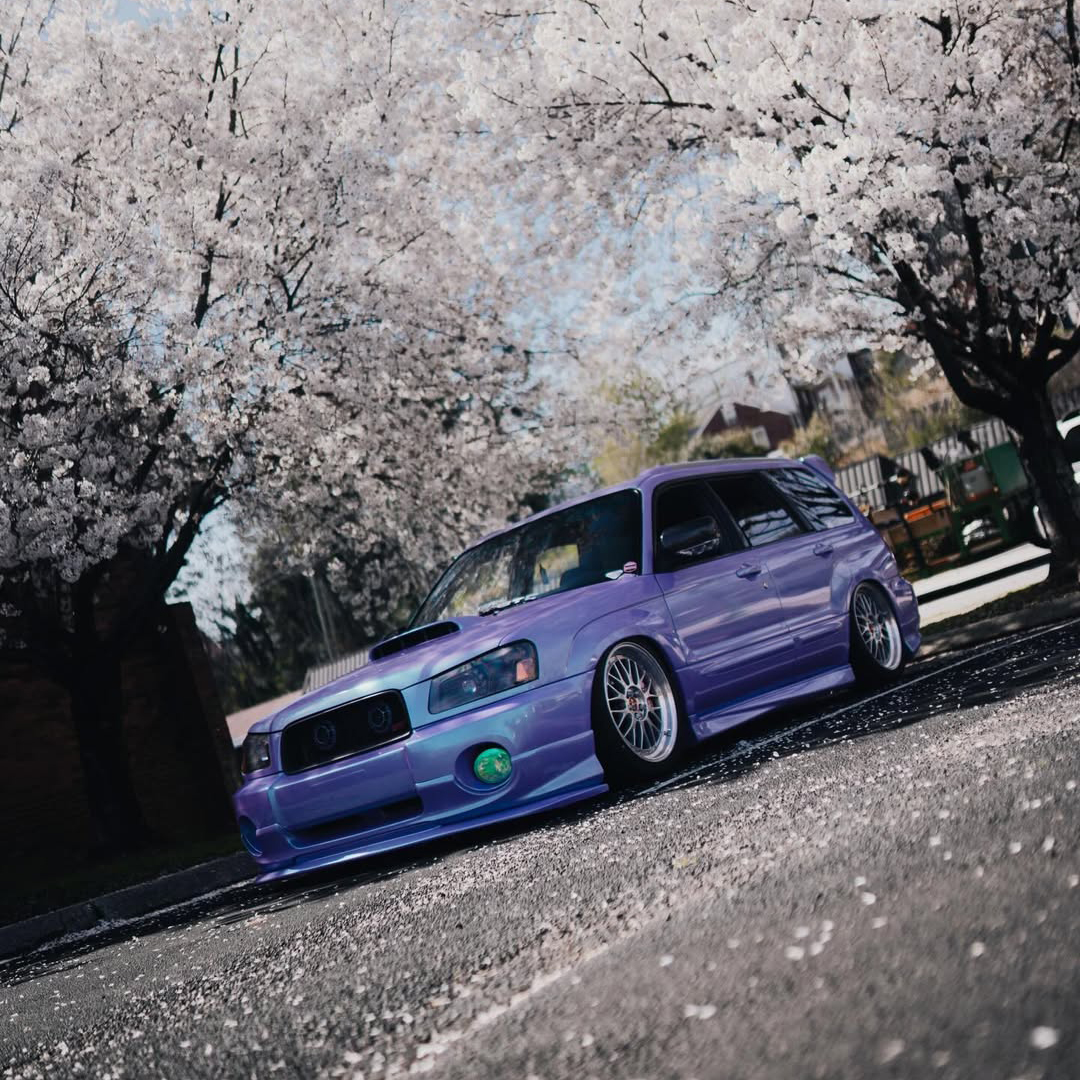 Ravoony Plus Twin Candy Purple Green Car Wrap review 2