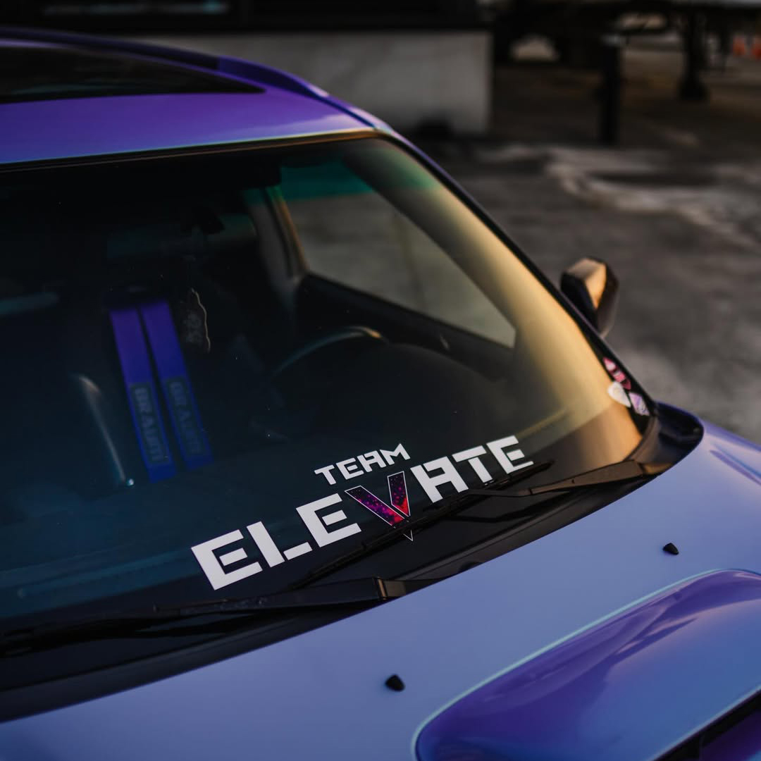 Ravoony Plus Twin Candy Purple Green Car Wrap review 0
