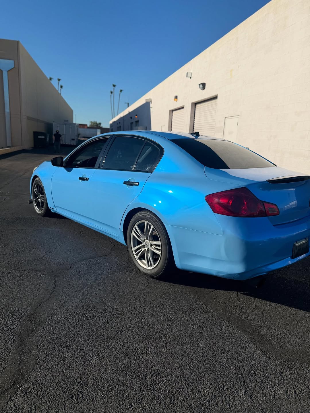 Ravoony Plus PET Twin Candy Grey Cyanine Wrap review Ryan Harrington 01