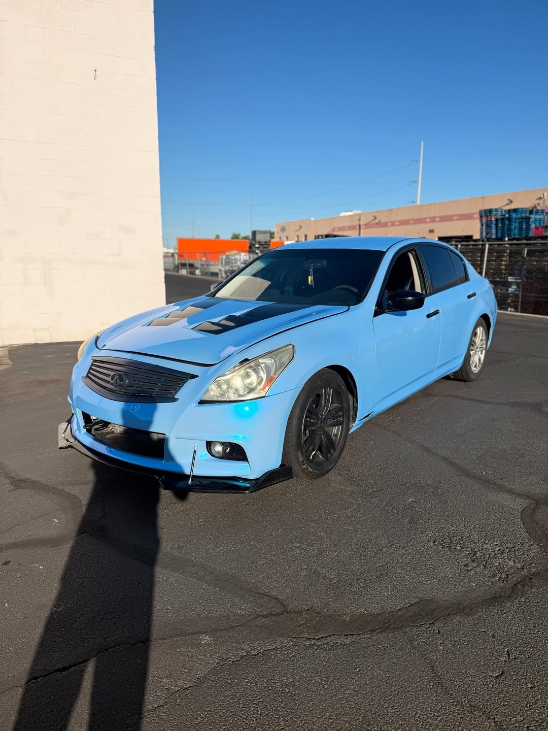 Ravoony Plus PET Twin Candy Grey Cyanine Wrap review Ryan Harrington 02