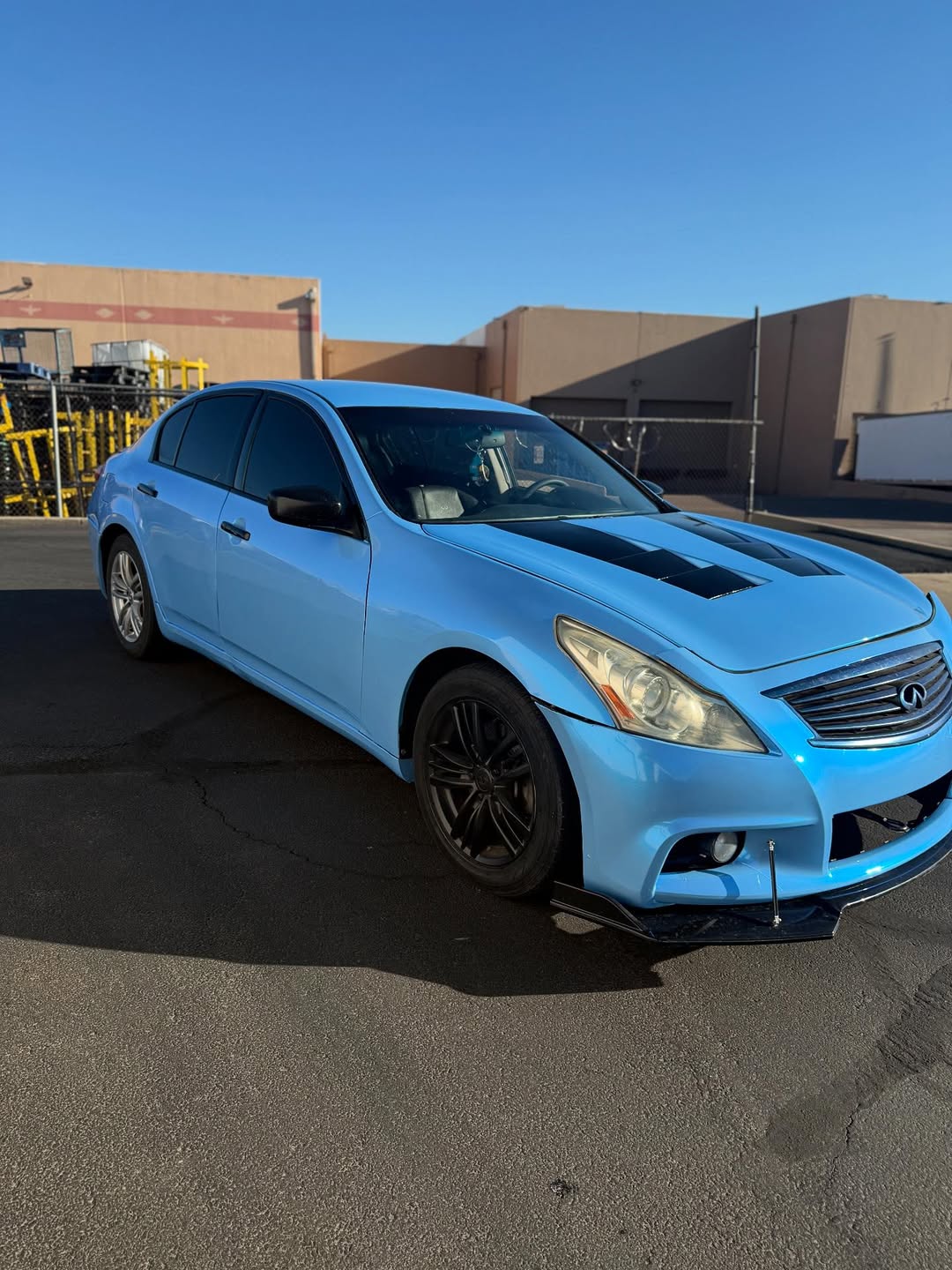 Ravoony Plus PET Twin Candy Grey Cyanine Wrap review Ryan Harrington 03