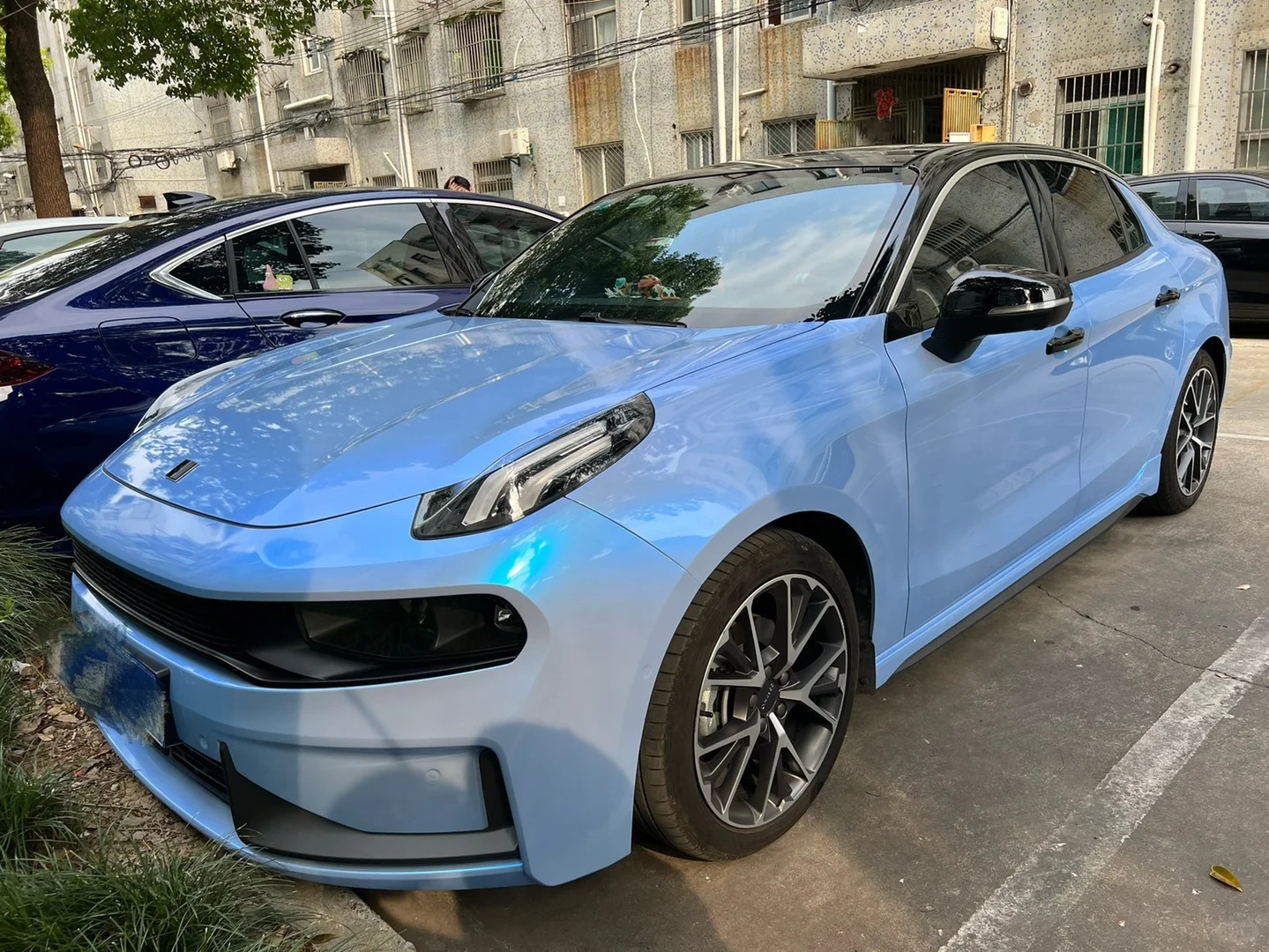Ravoony Plus PET Twin Candy Grey Cyanine Wrap review Priscilla Nguyen