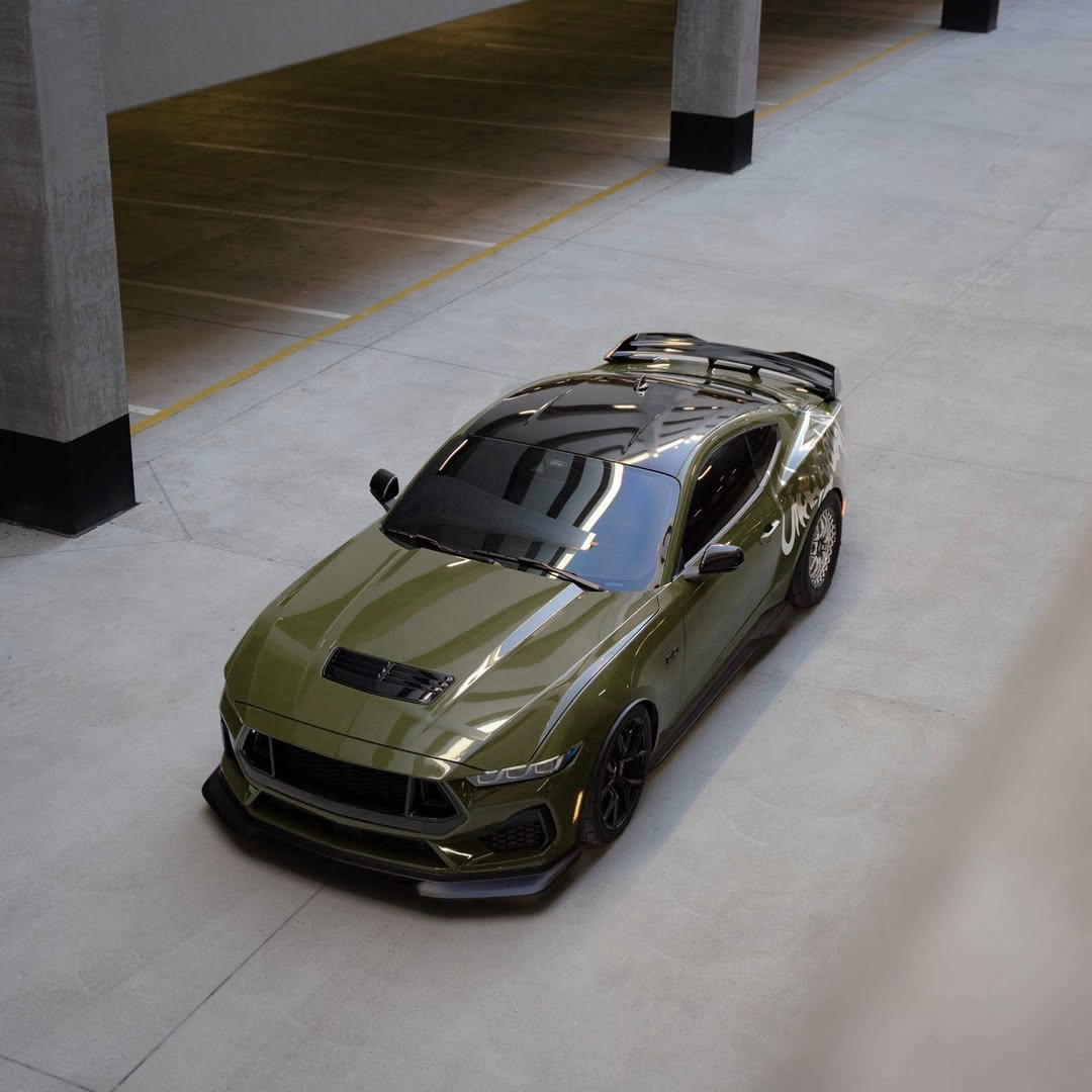 Ravoony Plus PET Audi Gloss Army Green Vinyl Car Wrap review 0