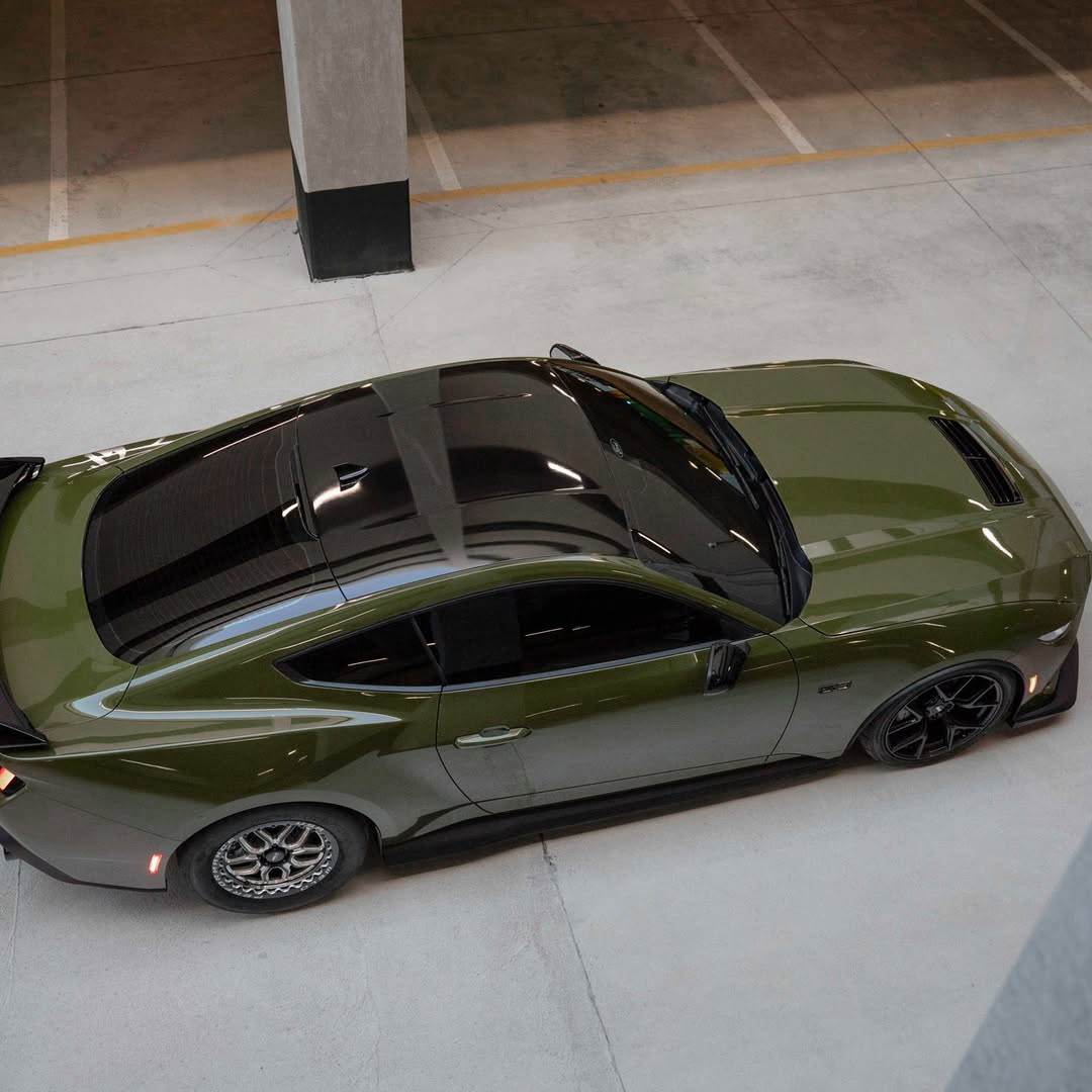 Ravoony Plus PET Audi Gloss Army Green Vinyl Car Wrap review 2