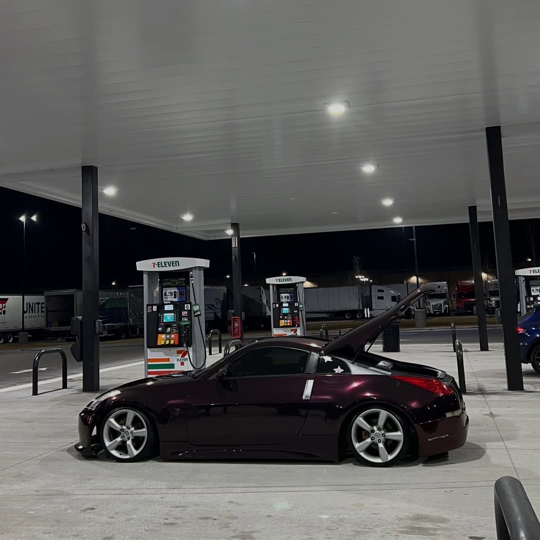 Ravoony Plus PET Gloss Black Rose Vinyl Wrap review 2