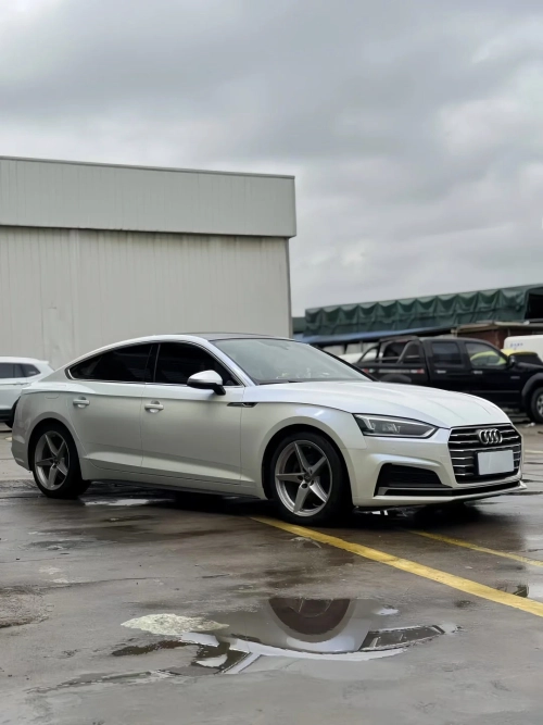 Ravoony Plus PET Glossy White to Blue Car Vinyl Wrap review 
