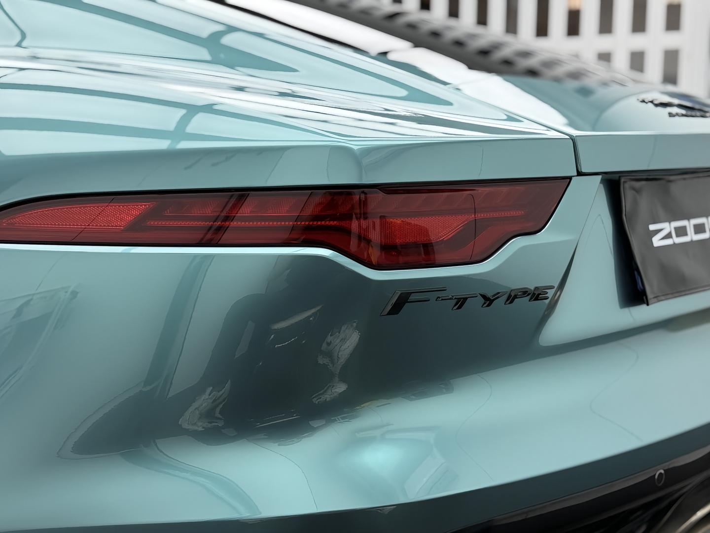 Ravoony Basic PET Gloss Metallic Ryan Green Car Wrap review 3