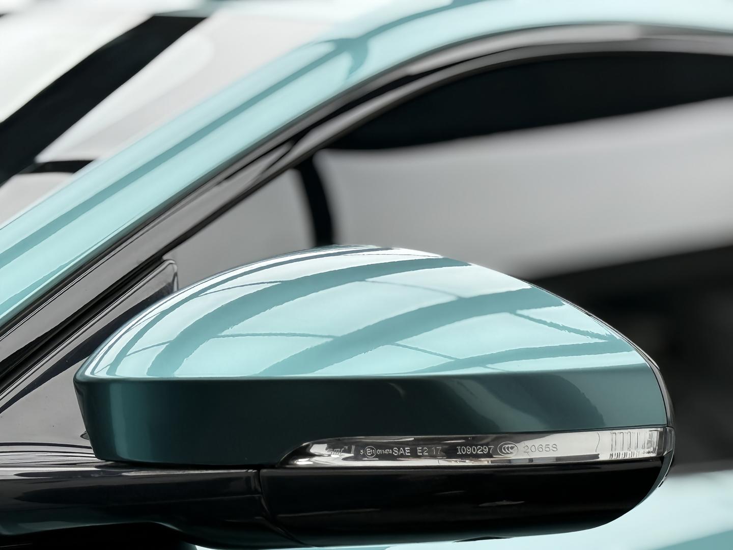 Ravoony Basic PET Gloss Metallic Ryan Green Car Wrap review 4