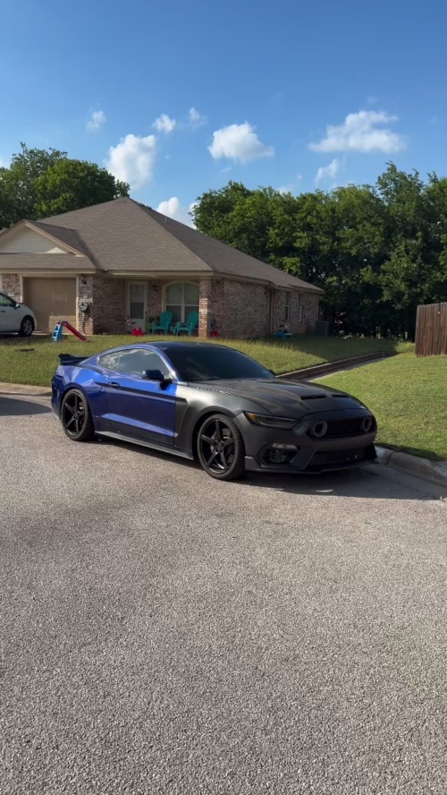 Ravoony Plus PET Kelly Green Vinyl Wrap review 