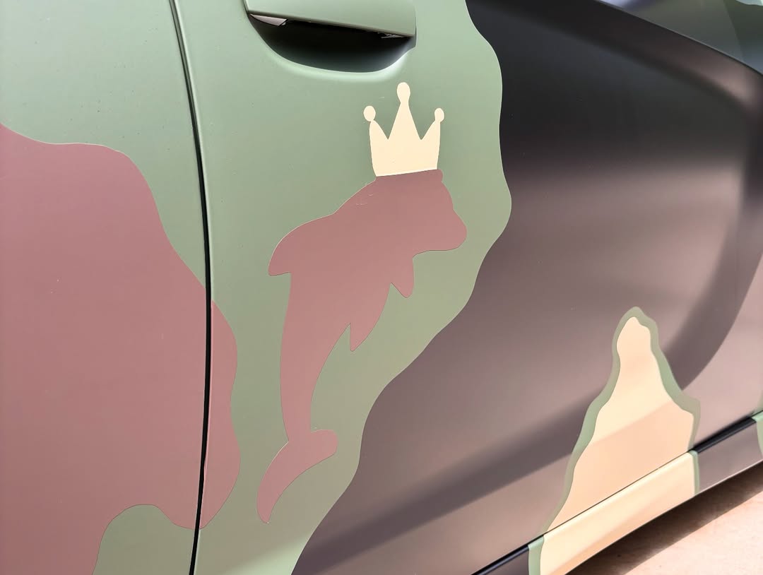 Ravoony Plus Customized Dolph Camo Wrap review Anthony Green 03