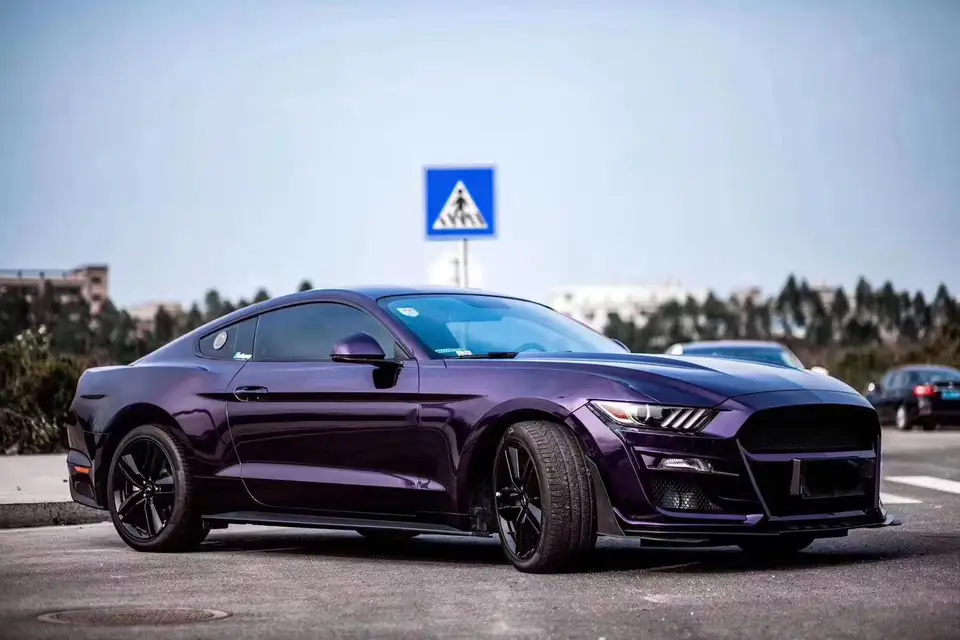 2019 Mustang Wrap Midnight Purple 