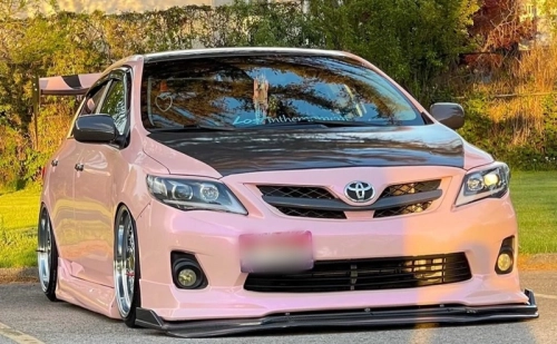 What Is The Pink Corolla?
