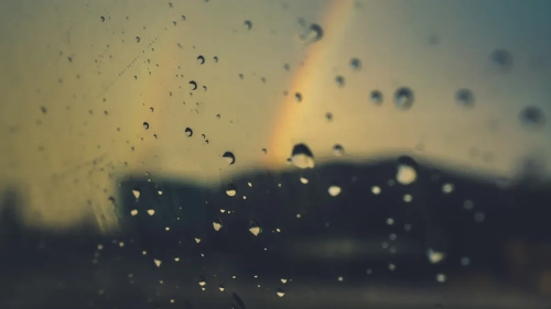 Effects of Sun and Rain The Ultimate Survival Guide