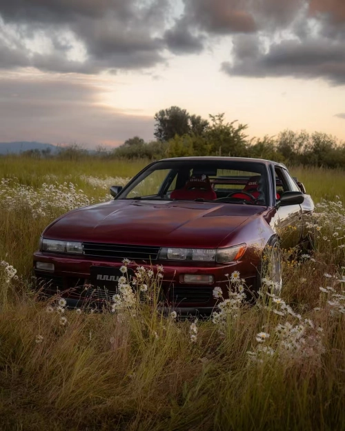 The 2025 Guide to Customizing Your Car's Hood Wrap