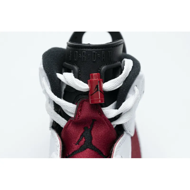  Pkgod Air Jordan 6 Retro Carmine (2021)