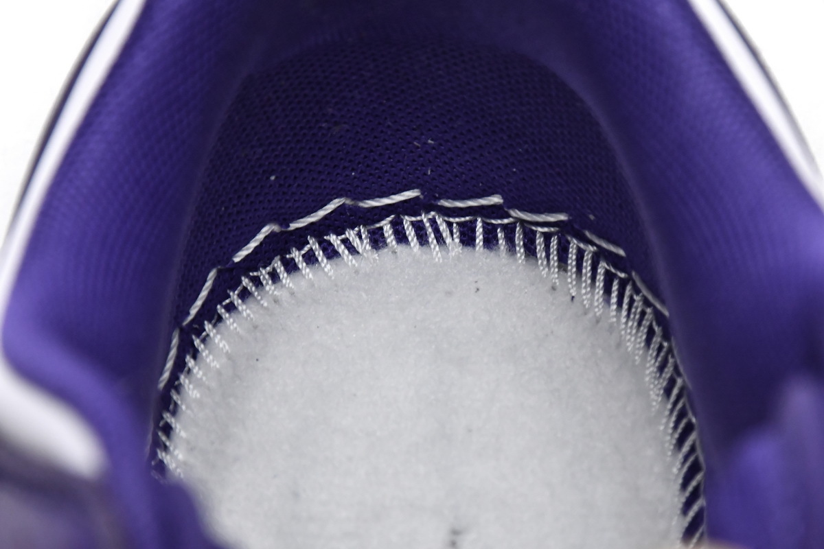Nike Dunk Low Championship Court Purple(M Batch)