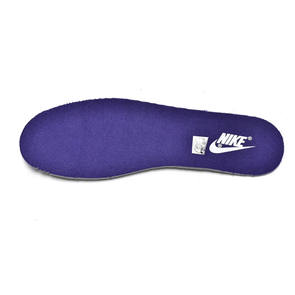 Nike Dunk Low Championship Court Purple(M Batch)