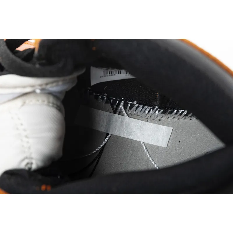 Pkgod Air Jordan 1 Retro Reverse Shattered Backboard