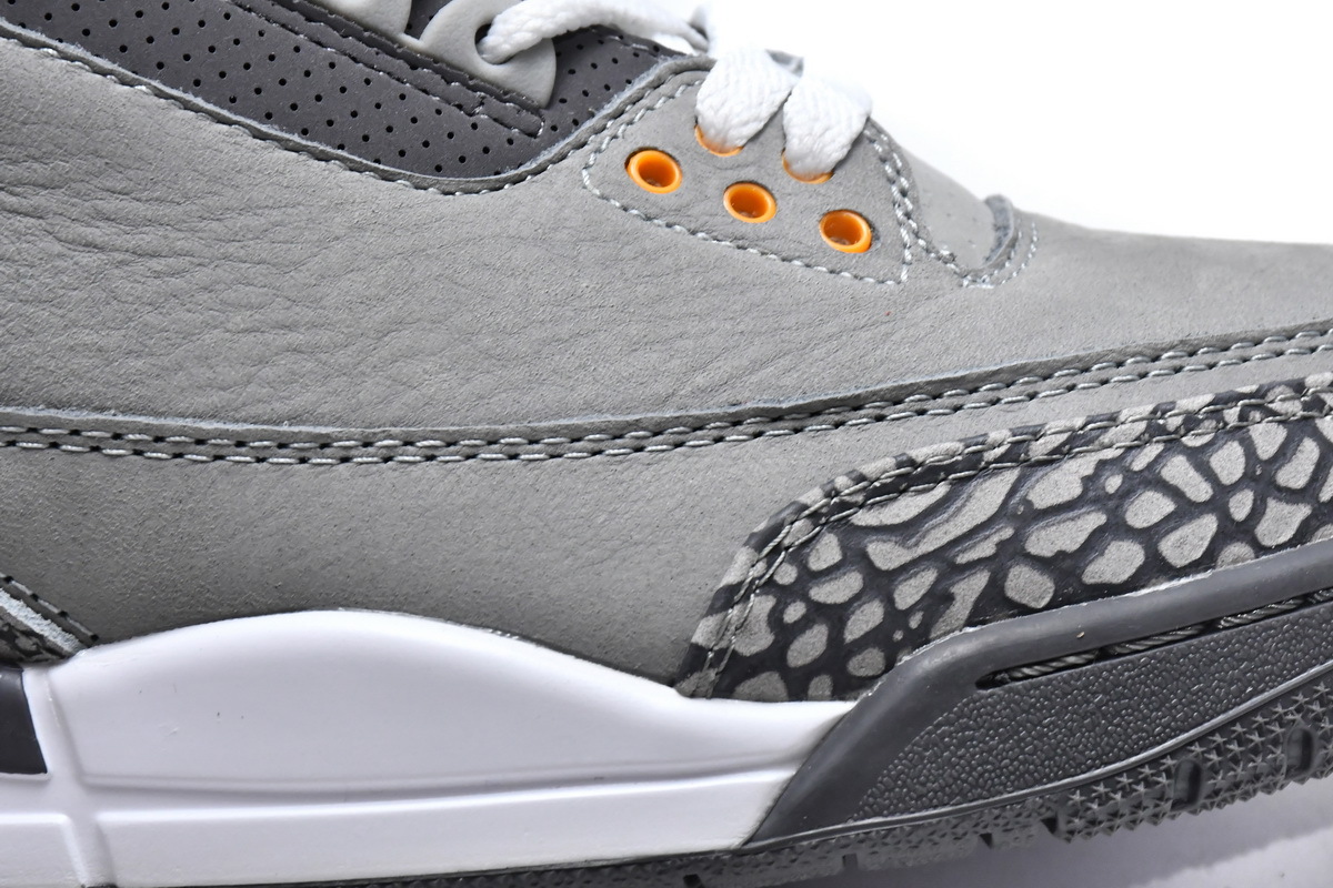     Air Jordan 3 Retro Cool Grey 2021