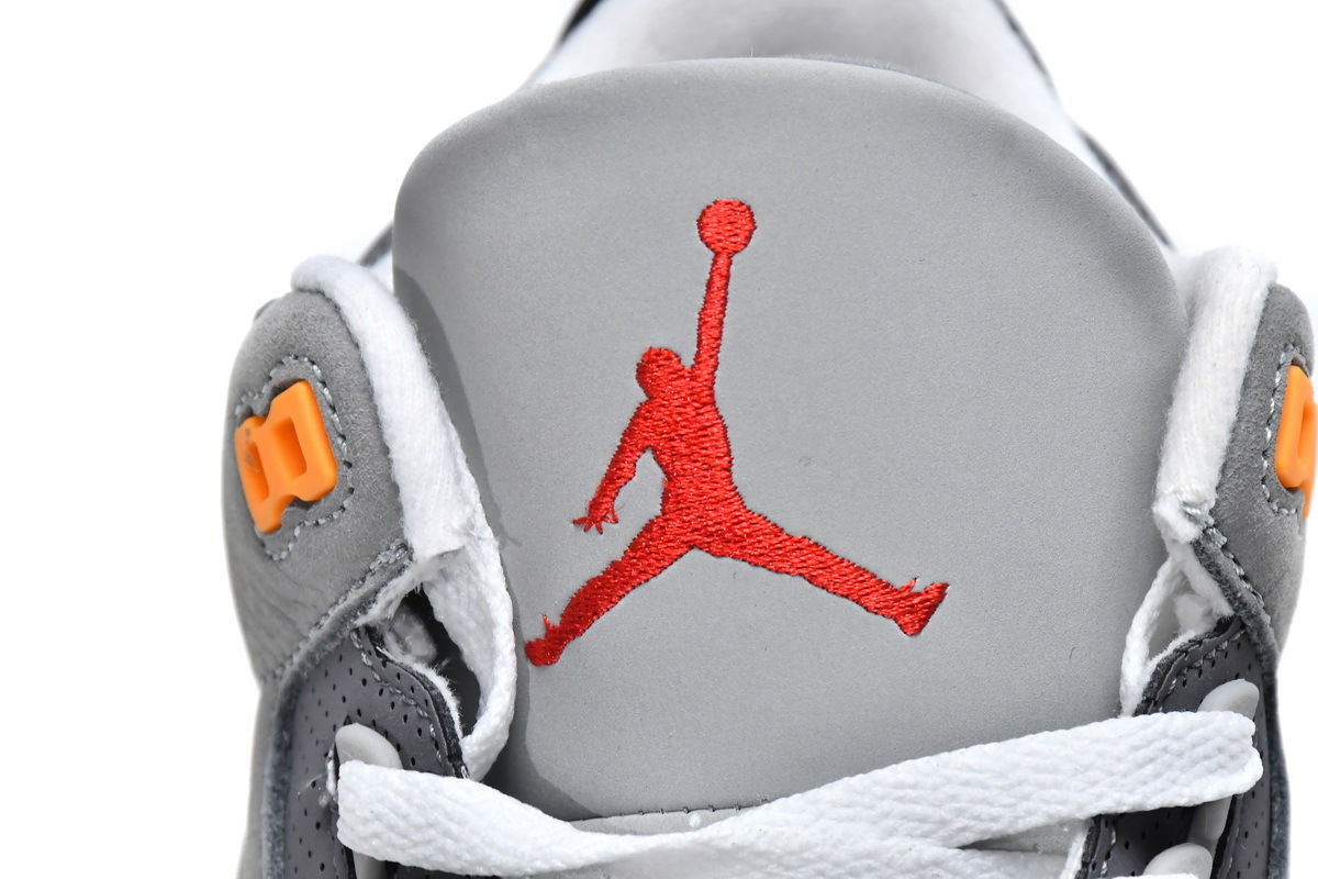     Air Jordan 3 Retro Cool Grey 2021