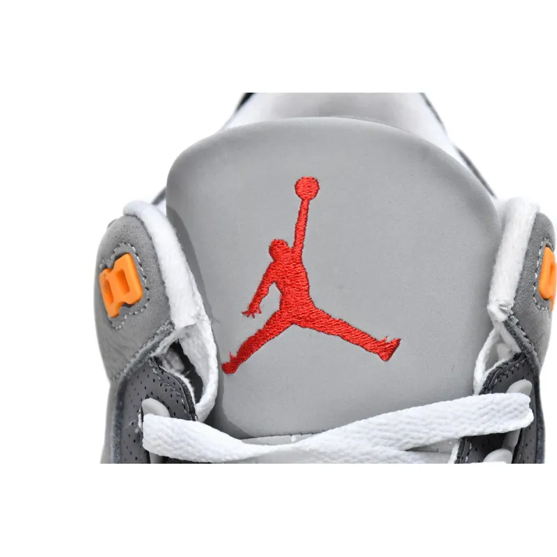 Pkgod Air Jordan 3 Retro Cool Grey 2021