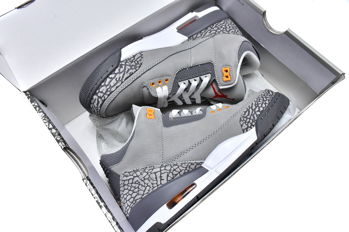    Air Jordan 3 Retro Cool Grey 2021