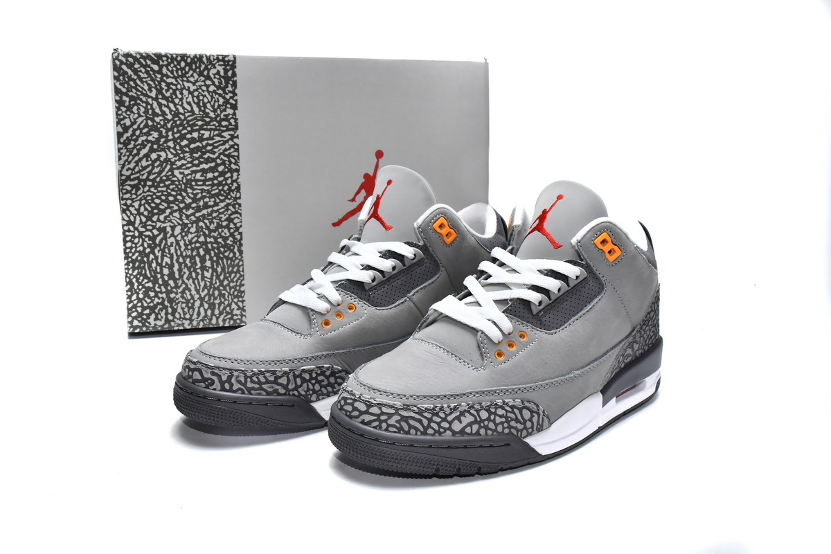     Air Jordan 3 Retro Cool Grey 2021