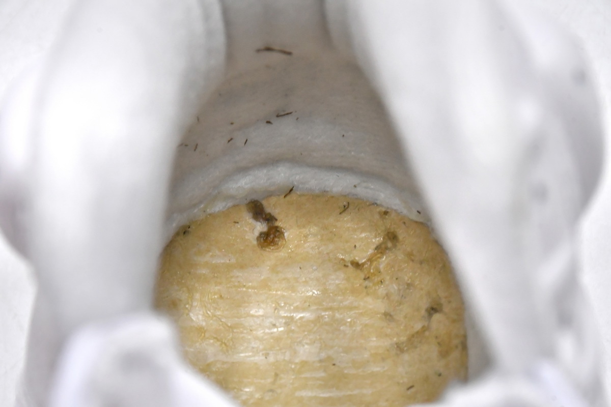 Pkgod Air Jordan 6 Red Oreo