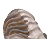 Pkgod Crocs Pollex Clog by Salehe Bembury Menemsha