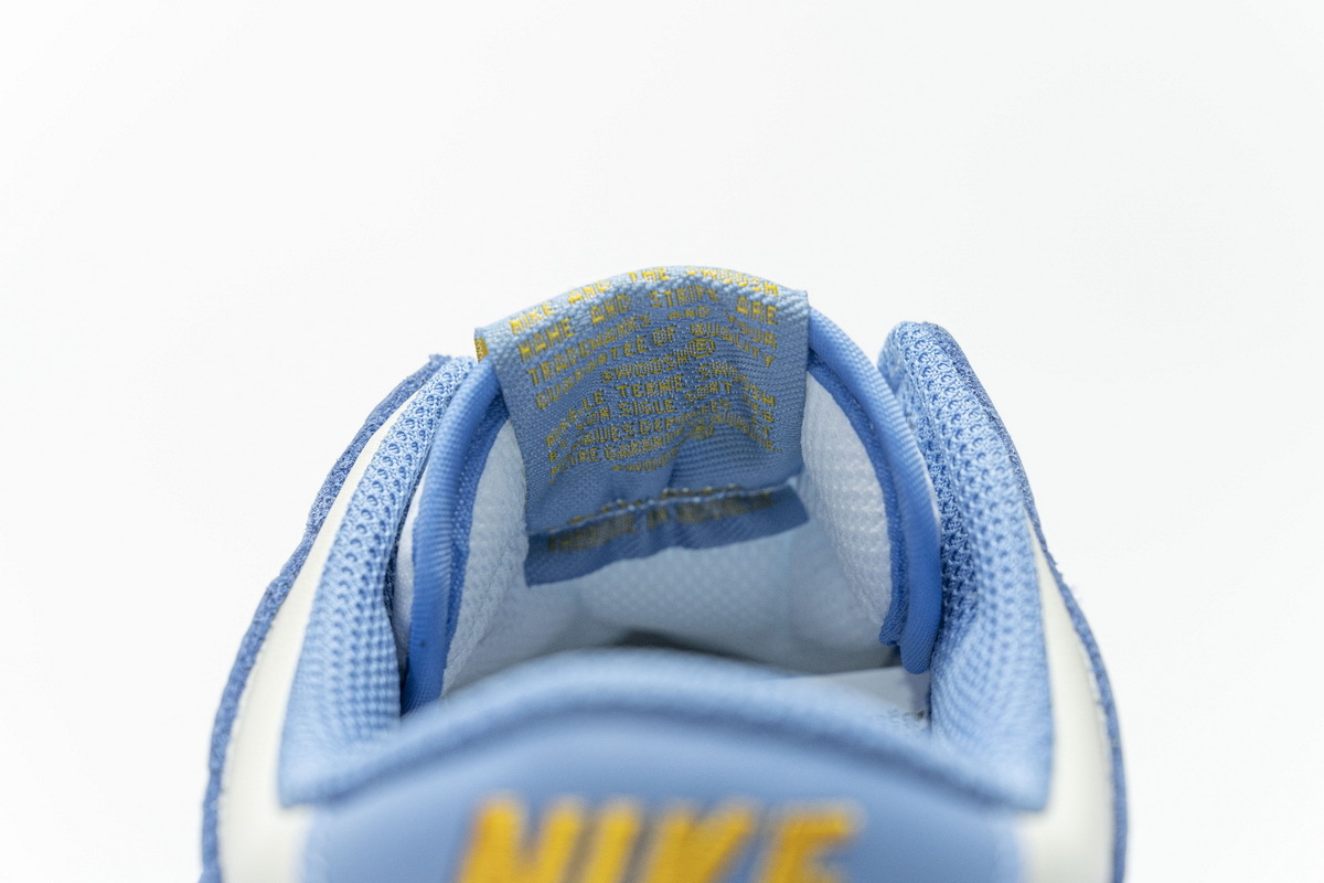 Pkgod Nike Dunk Low Coast (W)