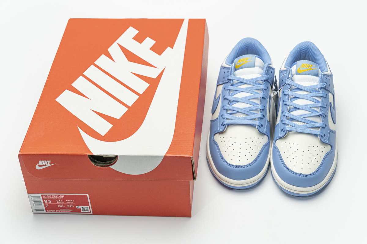 Pkgod Nike Dunk Low Coast (W)