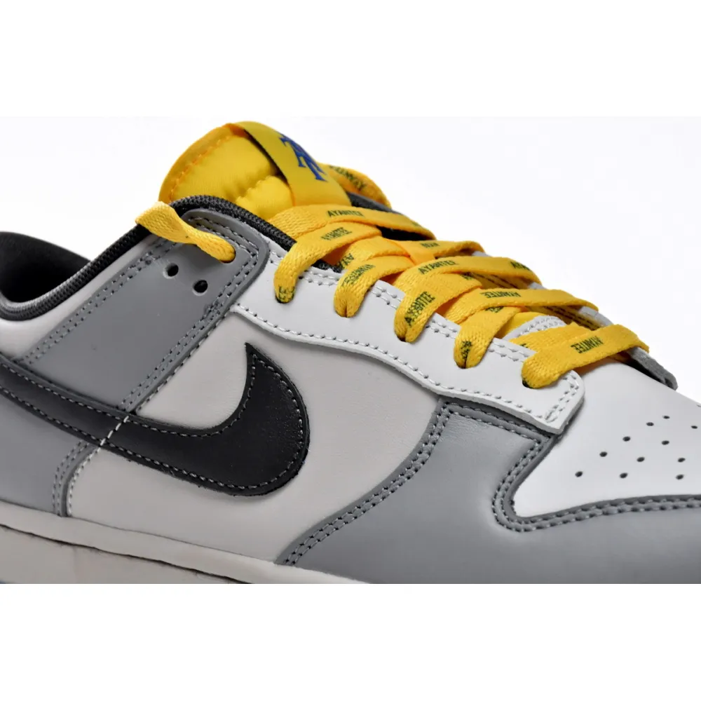 Pkgod Nike Dunk Low North Carolina A&T