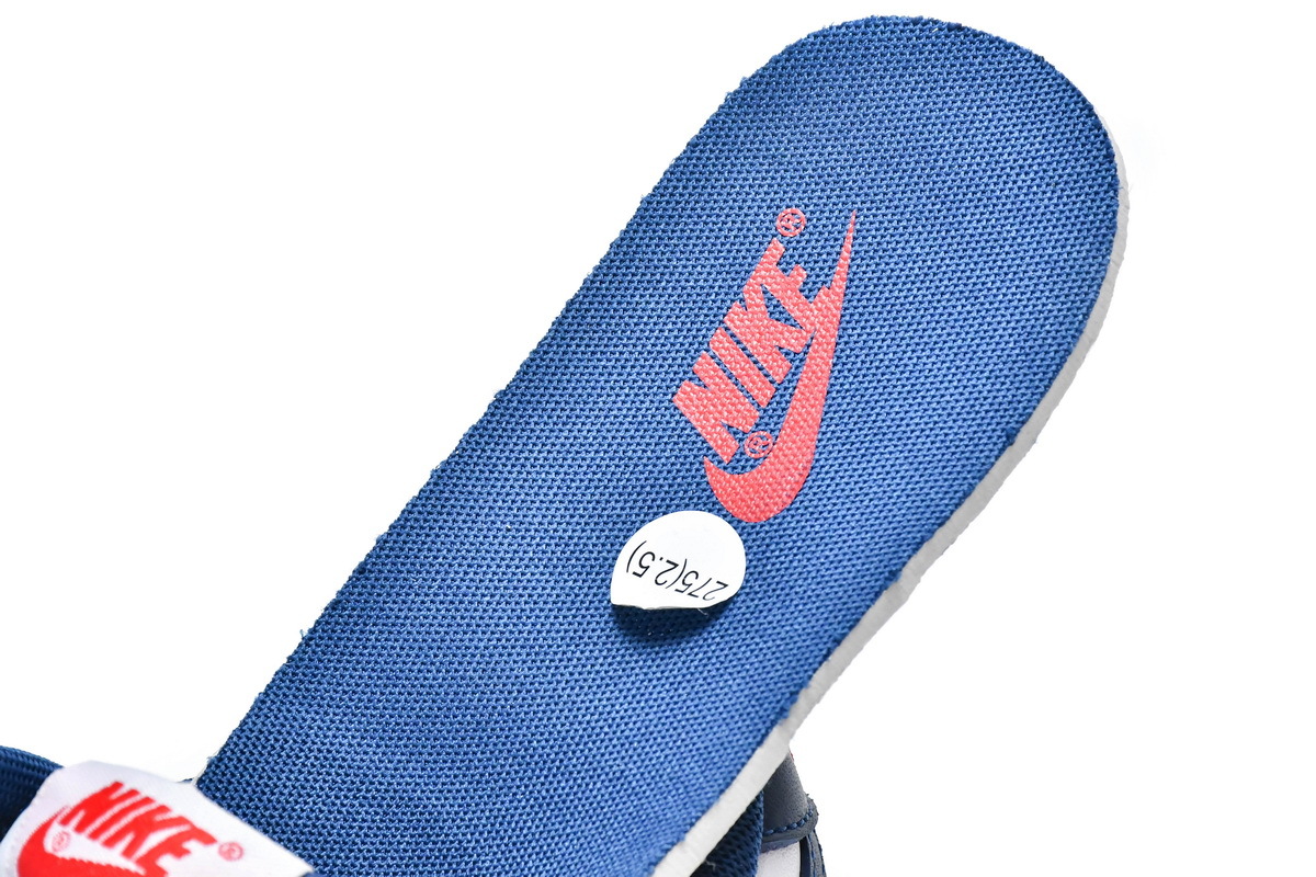     Nike Dunk Low Valerian Blue
