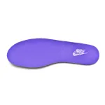 Pkgod Nike Dunk Low World Champ