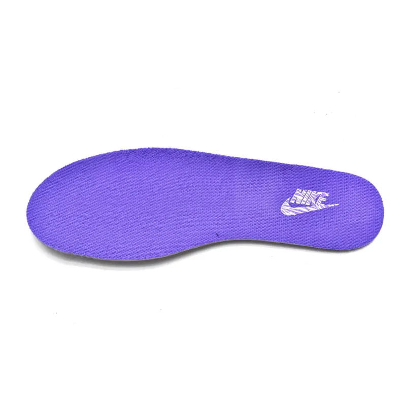 Pkgod Nike Dunk Low World Champ