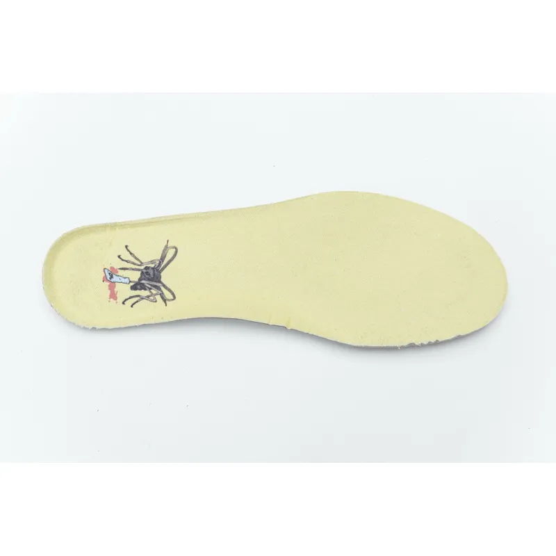 Pkgod Nike Dunk SB Low Mosquito