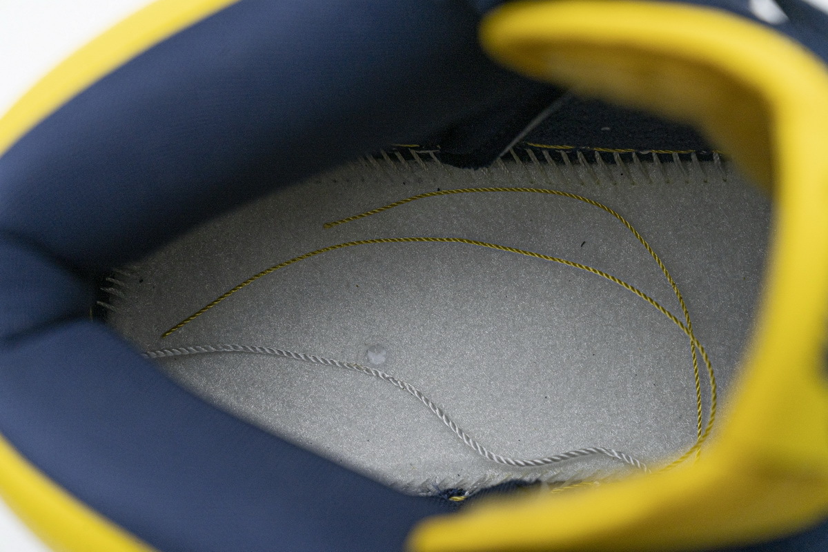     Nike SB Dunk High Michigan 